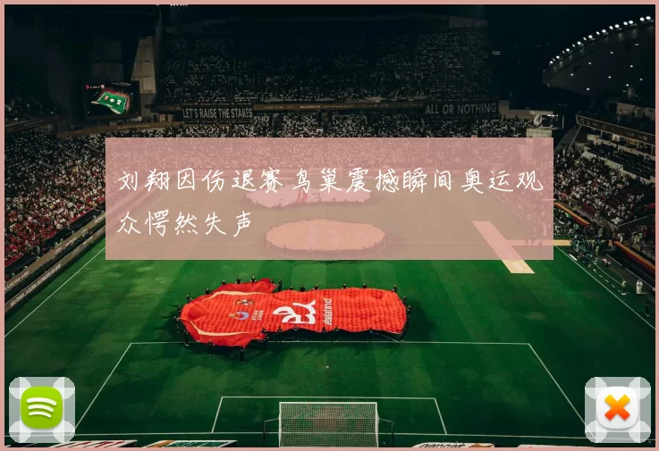 刘翔因伤退赛鸟巢震撼瞬间奥运观众愕然失声