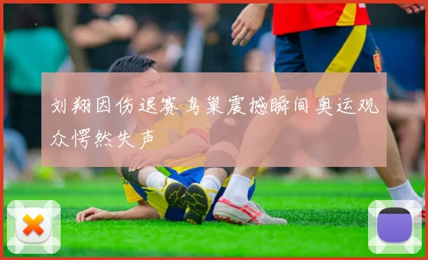 刘翔因伤退赛鸟巢震撼瞬间奥运观众愕然失声